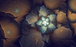 精美梦幻花