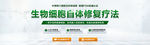 细胞修复banner
