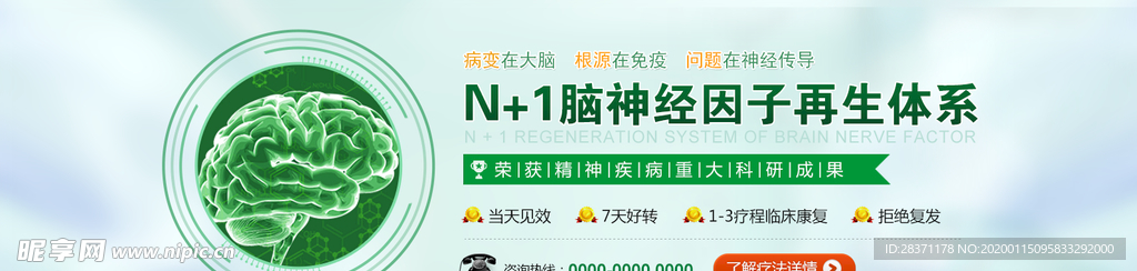脑神经因子再生体系