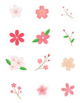 小红花