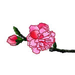一朵桃花