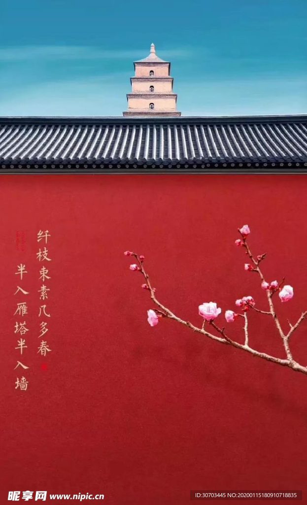 红墙杏花