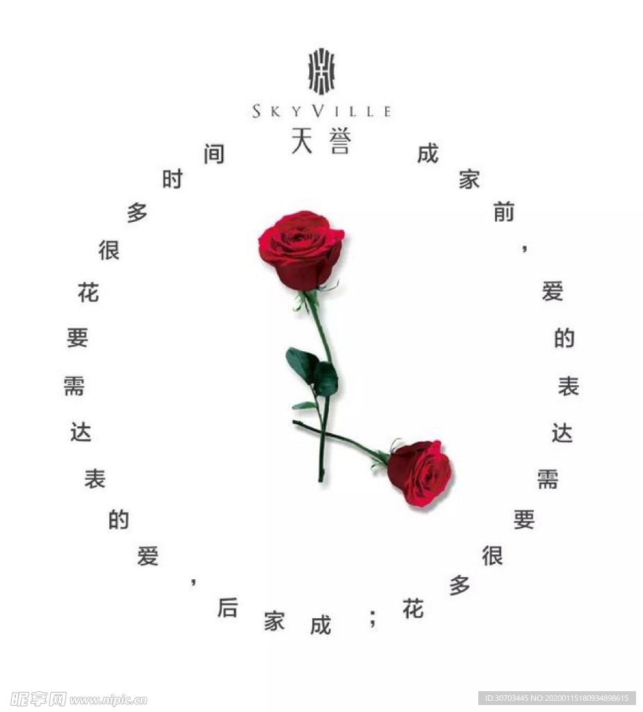 玫瑰花