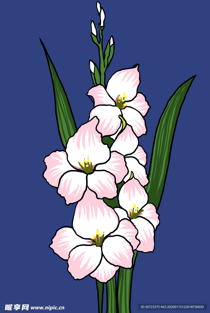 手绘花朵鲜花白色