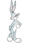 兔八哥动漫角色手绘