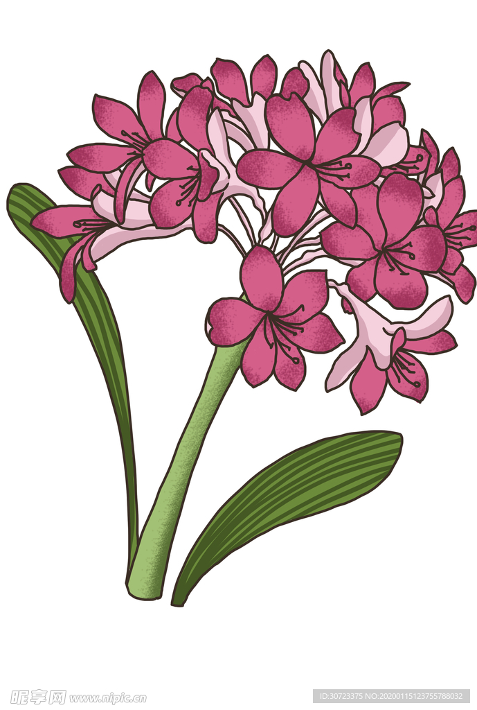 手绘花朵花卉