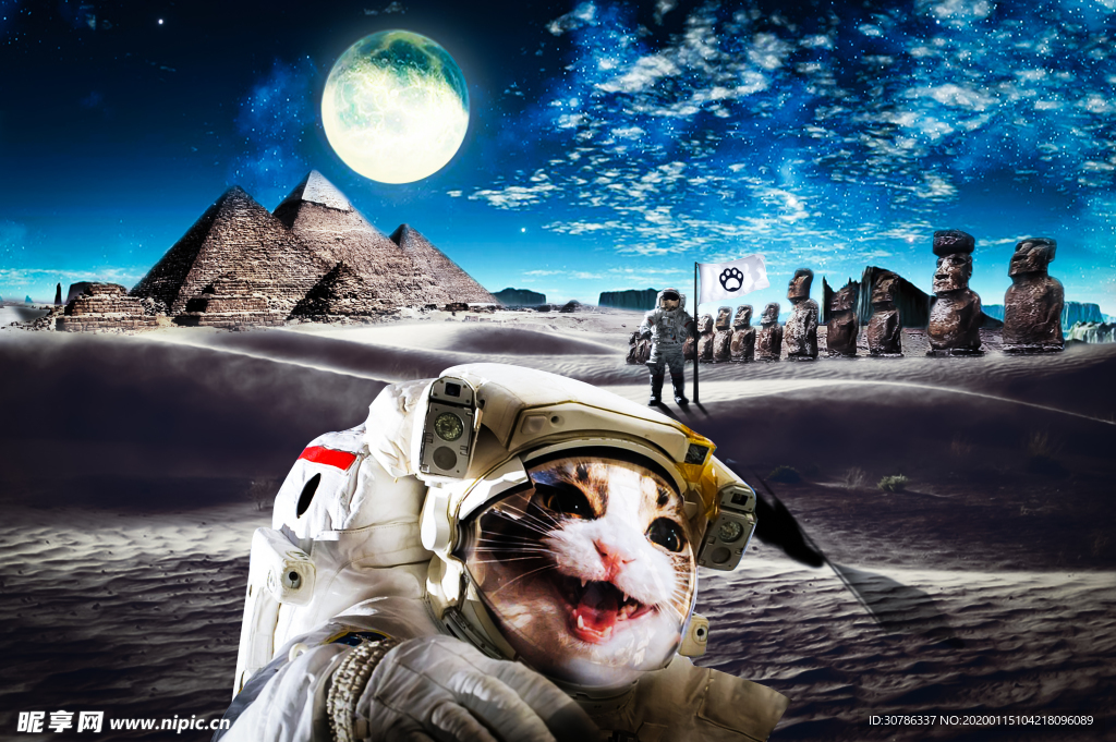 太空宇航猫