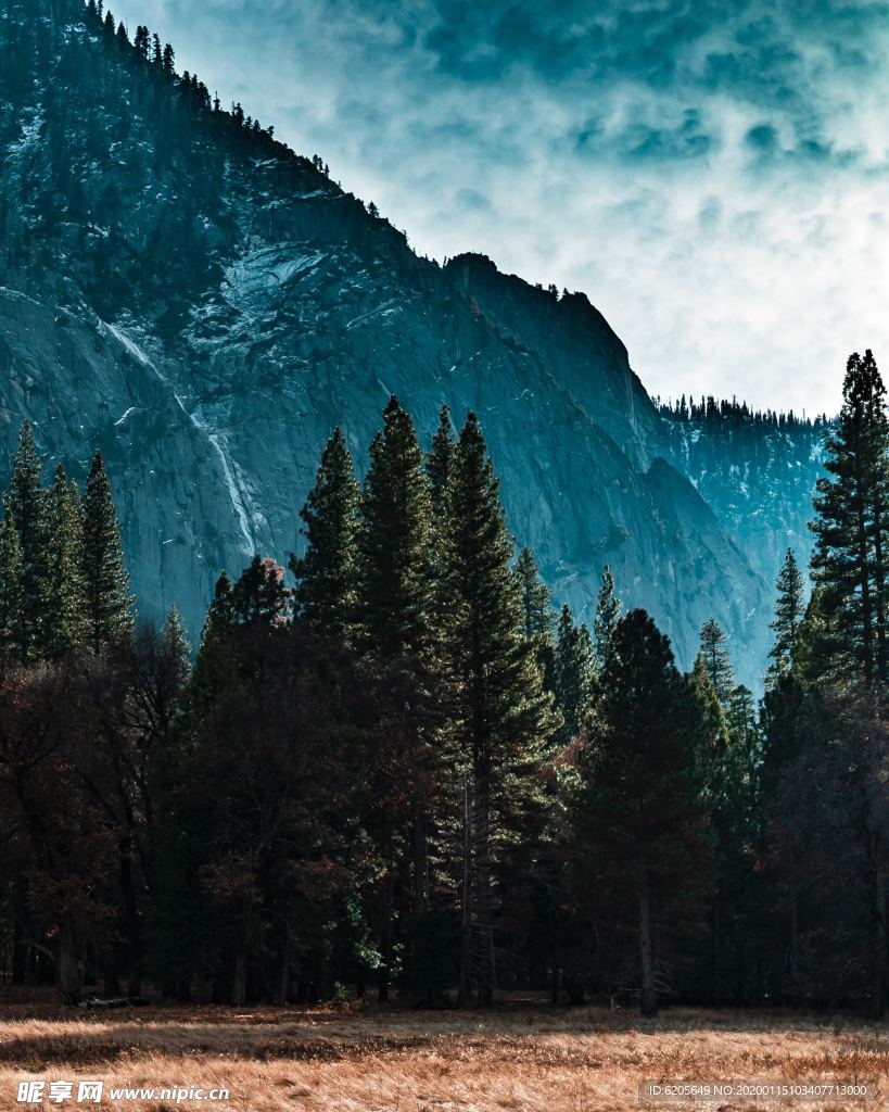 高山森林山脉风景