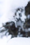 凝结的冰雪特写