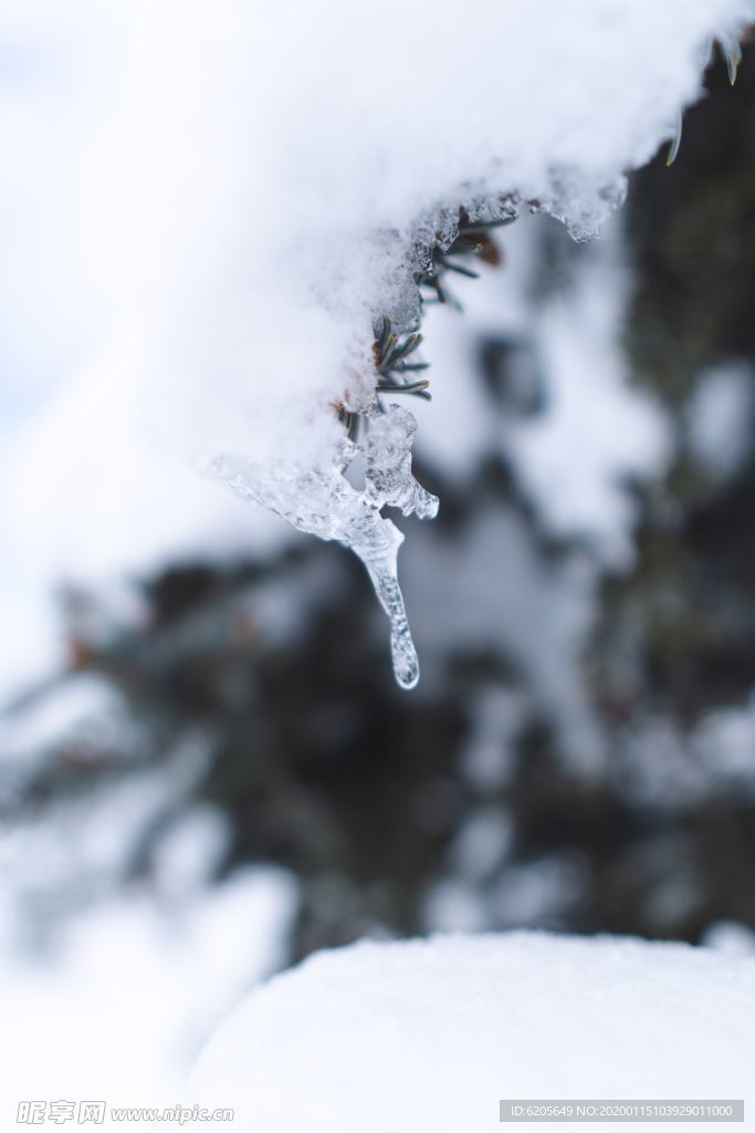凝结的冰雪特写