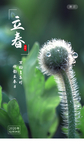 立春
