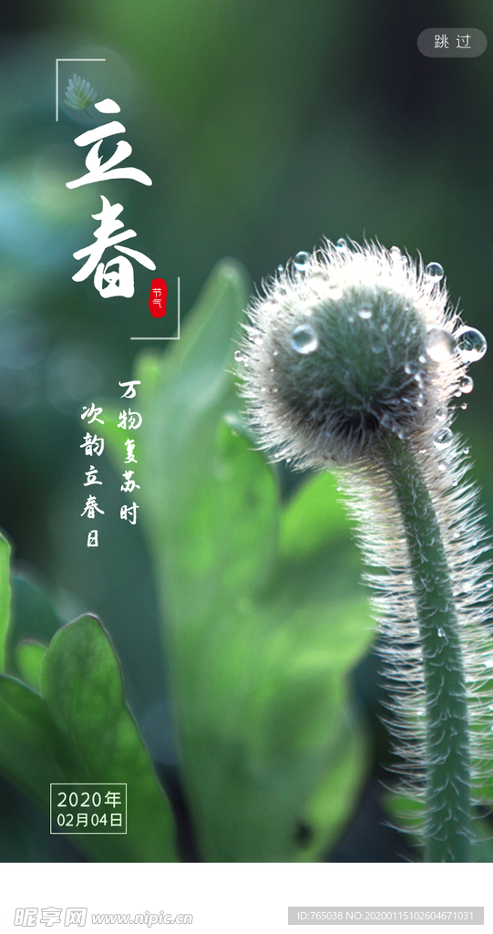 立春