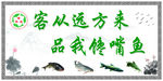 馋嘴鱼