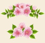 手绘鲜花