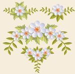 手绘鲜花