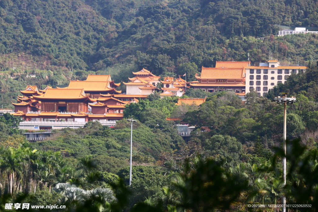 仙湖植物园