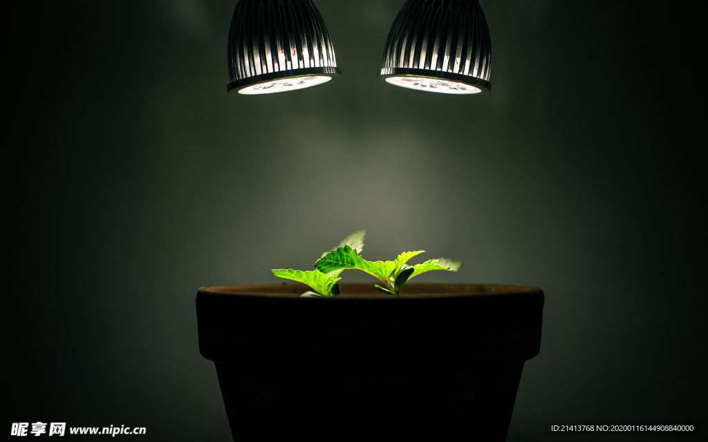 清新自然风景
