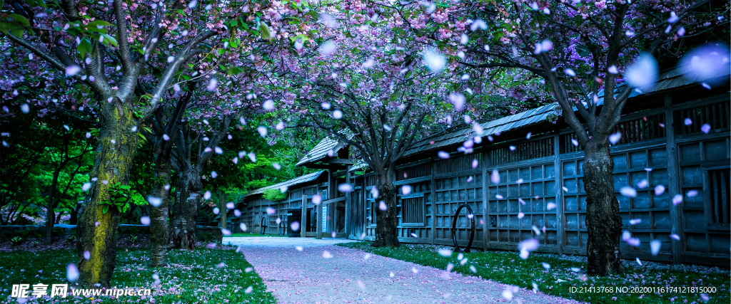 清新自然风景
