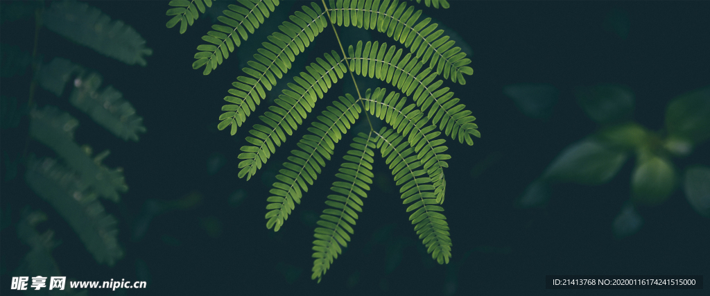 清新自然风景
