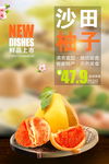 美食海报