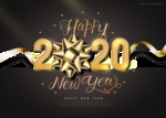 2020年