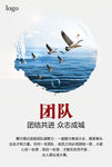 团队