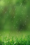 雨水节气背景