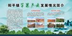 苹果节