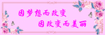 美
