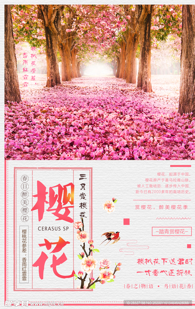 春季旅游