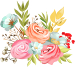 手绘鲜花