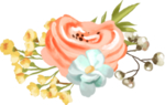 手绘鲜花