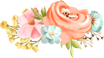 手绘鲜花