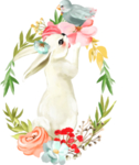 手绘花环和小兔子