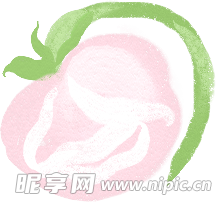 手绘鲜花