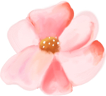 手绘鲜花