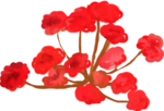 手绘鲜花