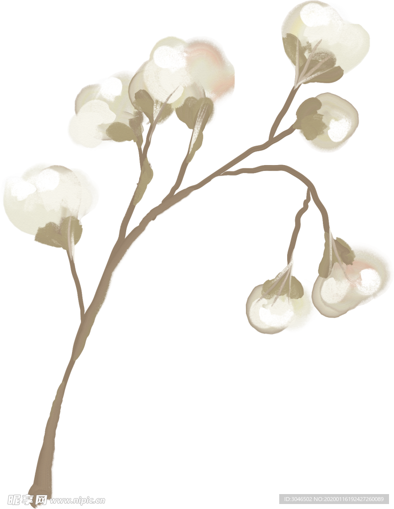 手绘鲜花