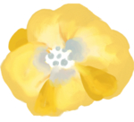 手绘鲜花