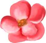 手绘鲜花