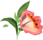 手绘花卉