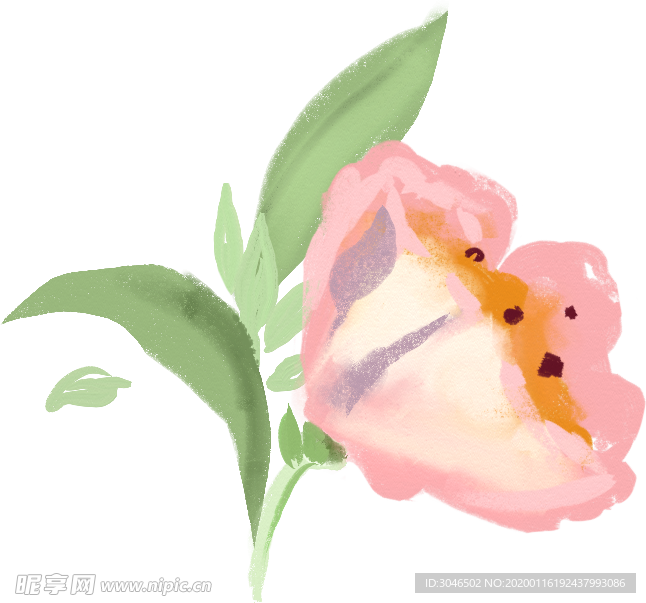 手绘花卉