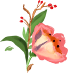 手绘花卉