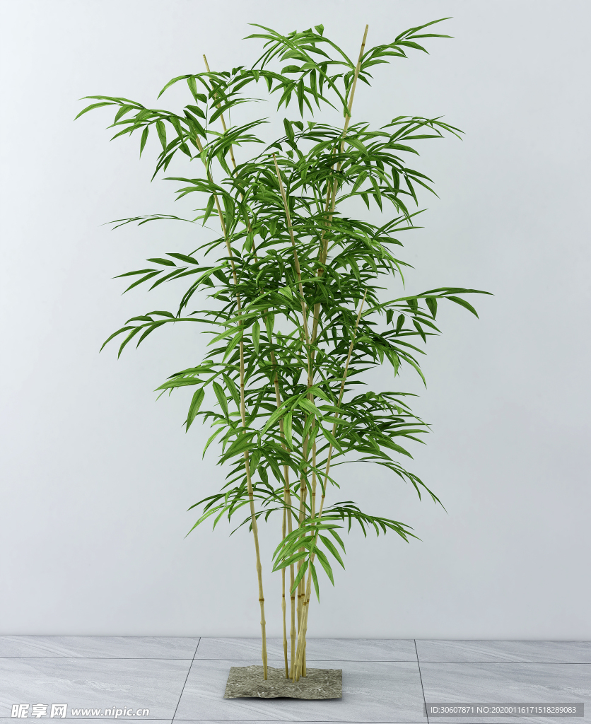盆栽