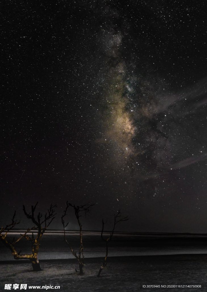 枯树与星空