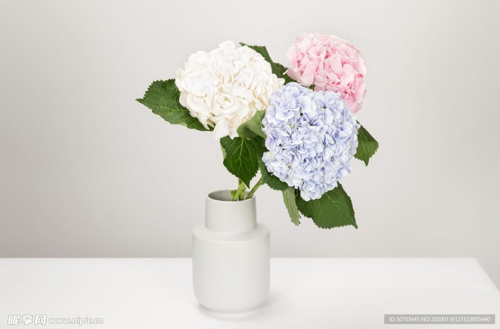 三朵花