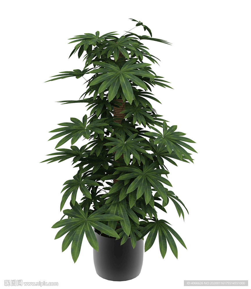 绿植3d模型