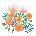 手绘鲜花