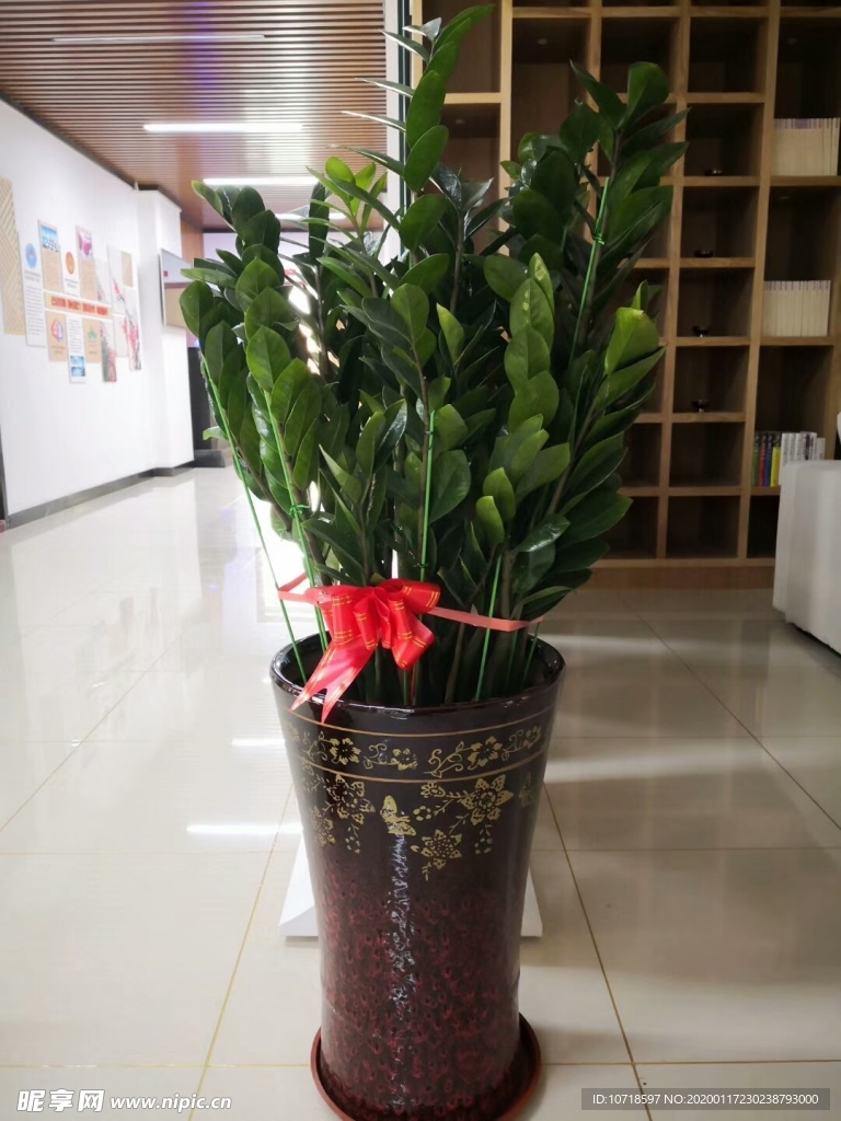 花束花草