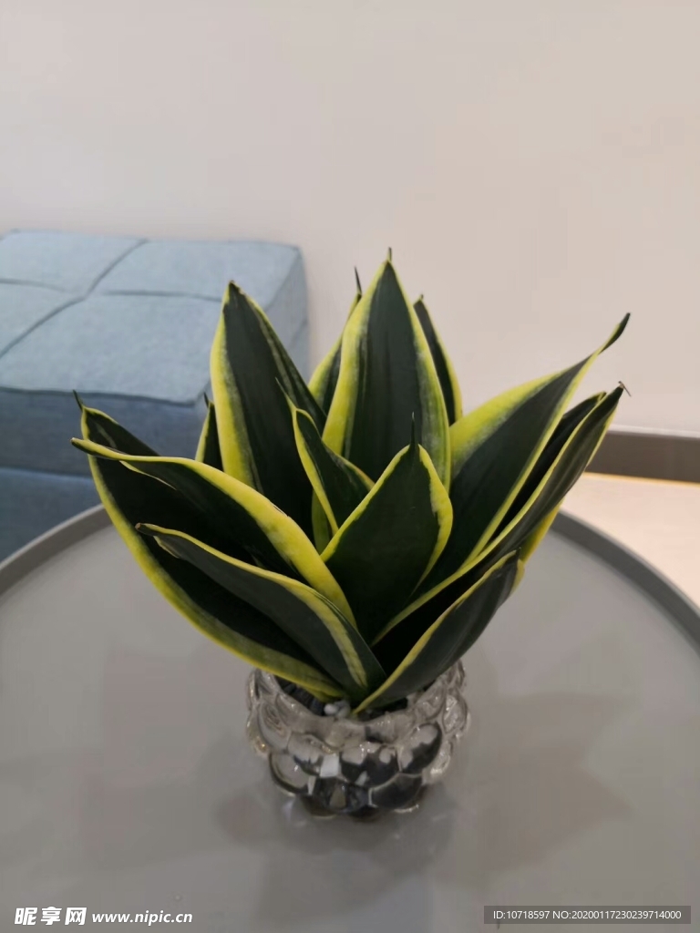 花束花草